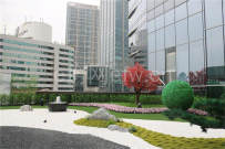 东岭锡上实景图